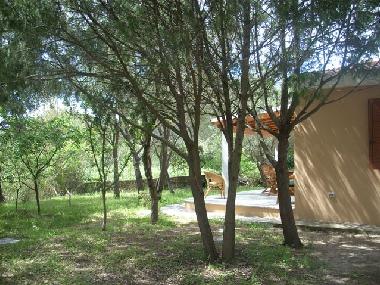 Holiday House in Nuragheddu (San Teodoro) (Olbia-Tempio) or holiday homes and vacation rentals