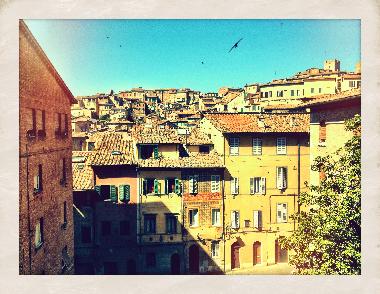 Holiday Apartment in Siena (Siena) or holiday homes and vacation rentals