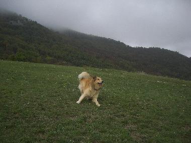 Holiday House in Fabriano (Ancona) or holiday homes and vacation rentals