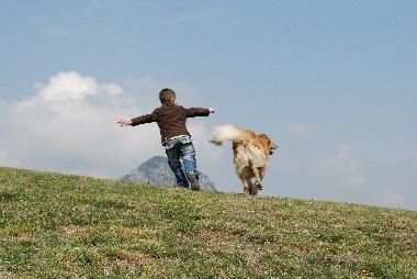 Fun for children and pets!!