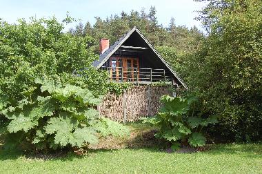 Bed and Breakfast in Bryrup (Arhus) or holiday homes and vacation rentals