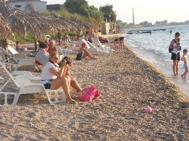 Holiday House in Vrsi (Zadarska) or holiday homes and vacation rentals