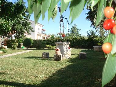 Holiday Apartment in Porec (Istarska) or holiday homes and vacation rentals