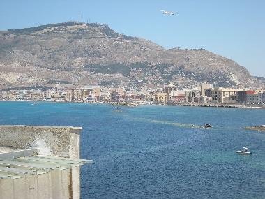 View from the terrace