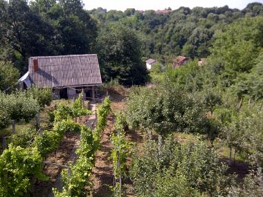Holiday House in Smederevska Palanka (Central Serbia) or holiday homes and vacation rentals