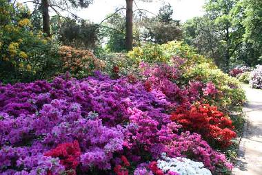 Holiday Apartment in Dresden (Schsische Schweiz) or holiday homes and vacation rentals