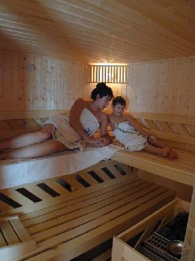 Holiday House in Bad Goisern (Traunviertel) or holiday homes and vacation rentals