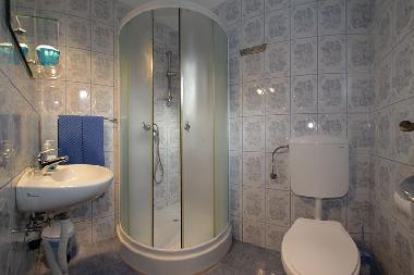 Bed and Breakfast in Gura Riului (Sibiu) or holiday homes and vacation rentals