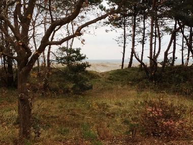 Holiday Apartment in Juliusruh-Breege (Ostsee-Inseln) or holiday homes and vacation rentals