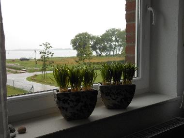 Holiday Apartment in Wiek (Ostsee-Inseln) or holiday homes and vacation rentals