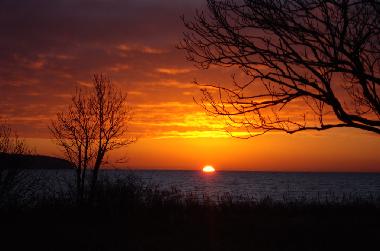 Holiday Apartment in Wiek (Ostsee-Inseln) or holiday homes and vacation rentals