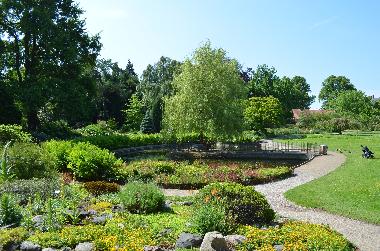 Holiday Apartment in Frederiksberg C (Kobenhavn) or holiday homes and vacation rentals