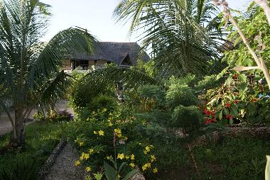 Holiday House in Galu Beach (Coast) or holiday homes and vacation rentals