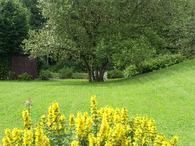Backyard Heidehof