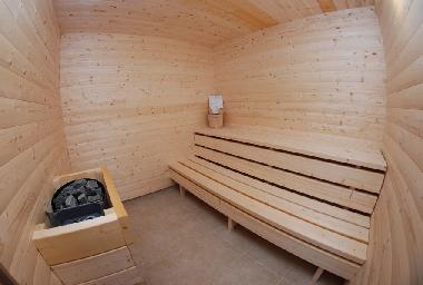 Villa in Svetvinčenat (Istarska) or holiday homes and vacation rentals