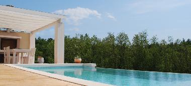 Villa in Svetvinčenat (Istarska) or holiday homes and vacation rentals