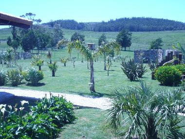 Villa in Punta del Este (Maldonado) or holiday homes and vacation rentals