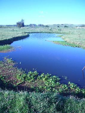 Holiday House in Maldonado (Maldonado) or holiday homes and vacation rentals