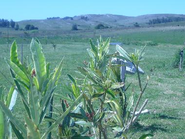 Holiday House in Maldonado (Maldonado) or holiday homes and vacation rentals