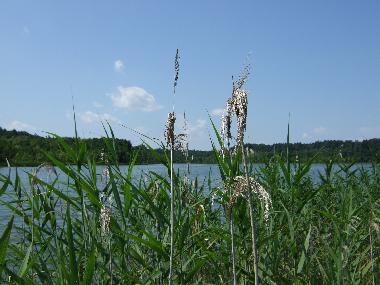 Holiday House in Krutyn (Warminsko-Mazurskie) or holiday homes and vacation rentals