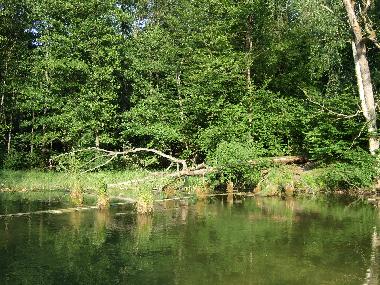 Holiday House in Krutyn (Warminsko-Mazurskie) or holiday homes and vacation rentals