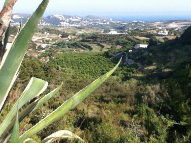 Holiday Apartment in Teulada (Alicante / Alacant) or holiday homes and vacation rentals