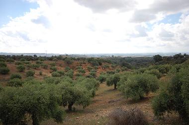 Holiday House in Villanuevas del Rio y Minas (Sevilla) or holiday homes and vacation rentals