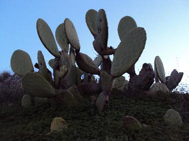 Holiday House in huercal de almeria (Almera) or holiday homes and vacation rentals