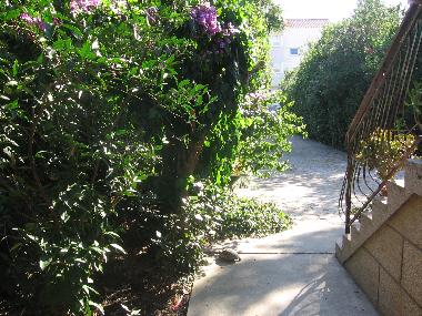 Our garden pet in front of the apartment