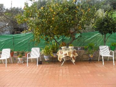 Holiday Apartment in prado del rey (Cdiz) or holiday homes and vacation rentals