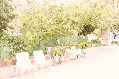 Holiday Apartment in prado del rey (Cdiz) or holiday homes and vacation rentals