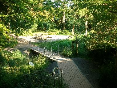 Holiday Apartment in Sagard (Ostsee-Inseln) or holiday homes and vacation rentals