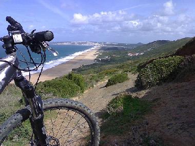 Surroundings | Salgado beach