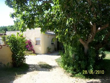 Holiday House in Zahora (Cdiz) or holiday homes and vacation rentals