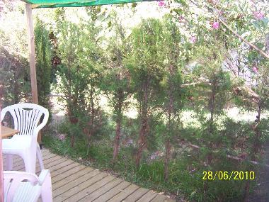 Holiday House in Zahora (Cdiz) or holiday homes and vacation rentals