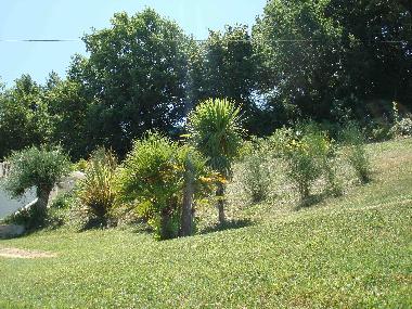 Bed and Breakfast in Montelabbate (Pesaro e Urbino) or holiday homes and vacation rentals