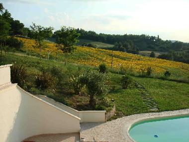 Bed and Breakfast in Montelabbate (Pesaro e Urbino) or holiday homes and vacation rentals