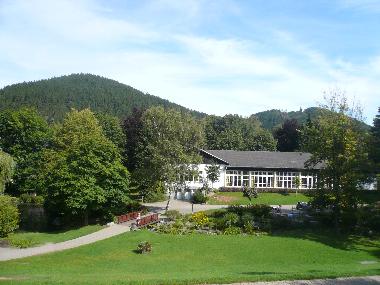 Holiday Apartment in Willingen/Upland - Fewo am Kurpark**** (Sauerland) or holiday homes and vacation rentals