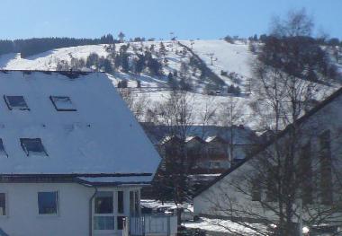 Holiday Apartment in Willingen/Upland - Fewo am Kurpark**** (Sauerland) or holiday homes and vacation rentals