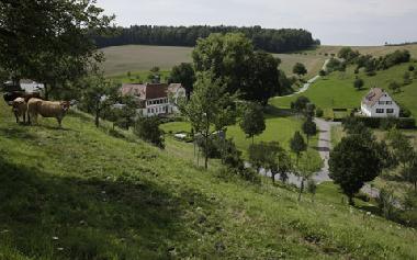 Holiday Apartment in Bad Mergentheim (Taubertal) or holiday homes and vacation rentals