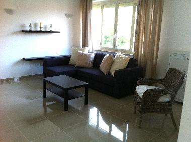 Living Room with large sofa. If necessary, it becomes a double bed.
