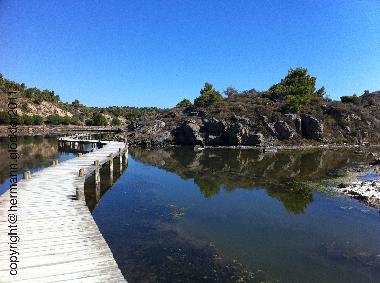 in front of the house