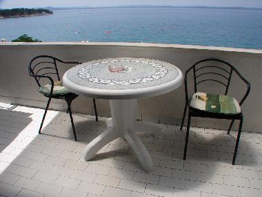 Villa in Petrčane (Zadarska) or holiday homes and vacation rentals