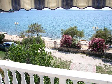 Villa in Petrčane (Zadarska) or holiday homes and vacation rentals