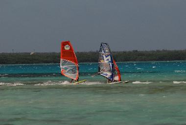 Holiday Apartment in Kralendijk (Bonaire) or holiday homes and vacation rentals