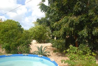 Holiday Apartment in Kralendijk (Bonaire) or holiday homes and vacation rentals