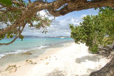 Holiday Apartment in Kralendijk (Bonaire) or holiday homes and vacation rentals
