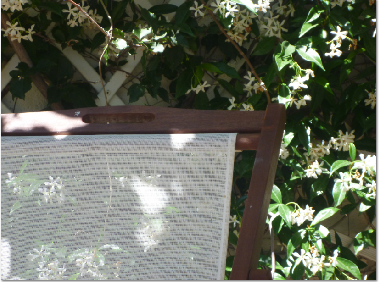 Jardin. patio, plein air,terrasse