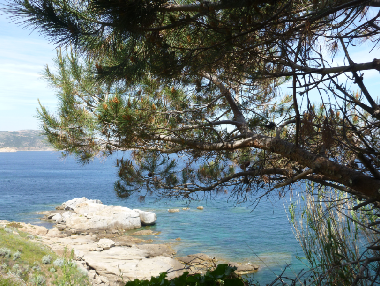 Ballades,randonnes,la revelata,rserve de Scandola,Piana,Porto