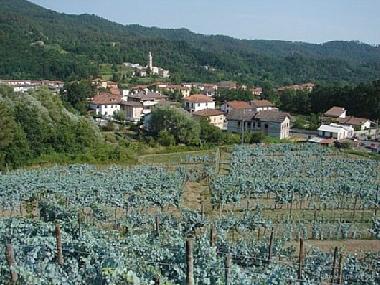 Holiday Apartment in sesta godano (La Spezia) or holiday homes and vacation rentals